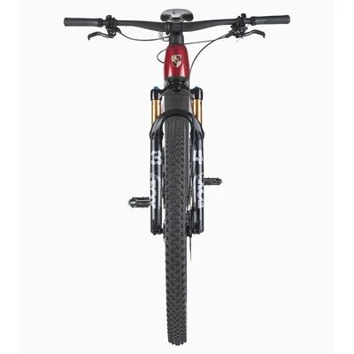 Porsche eBike Cross Performance EXC 