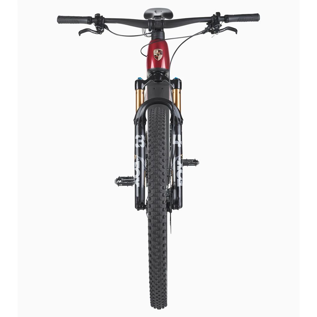 Porsche eBike Cross Performance EXC 