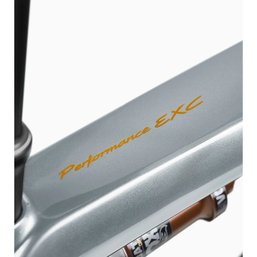 Porsche eBike Cross Performance EXC 