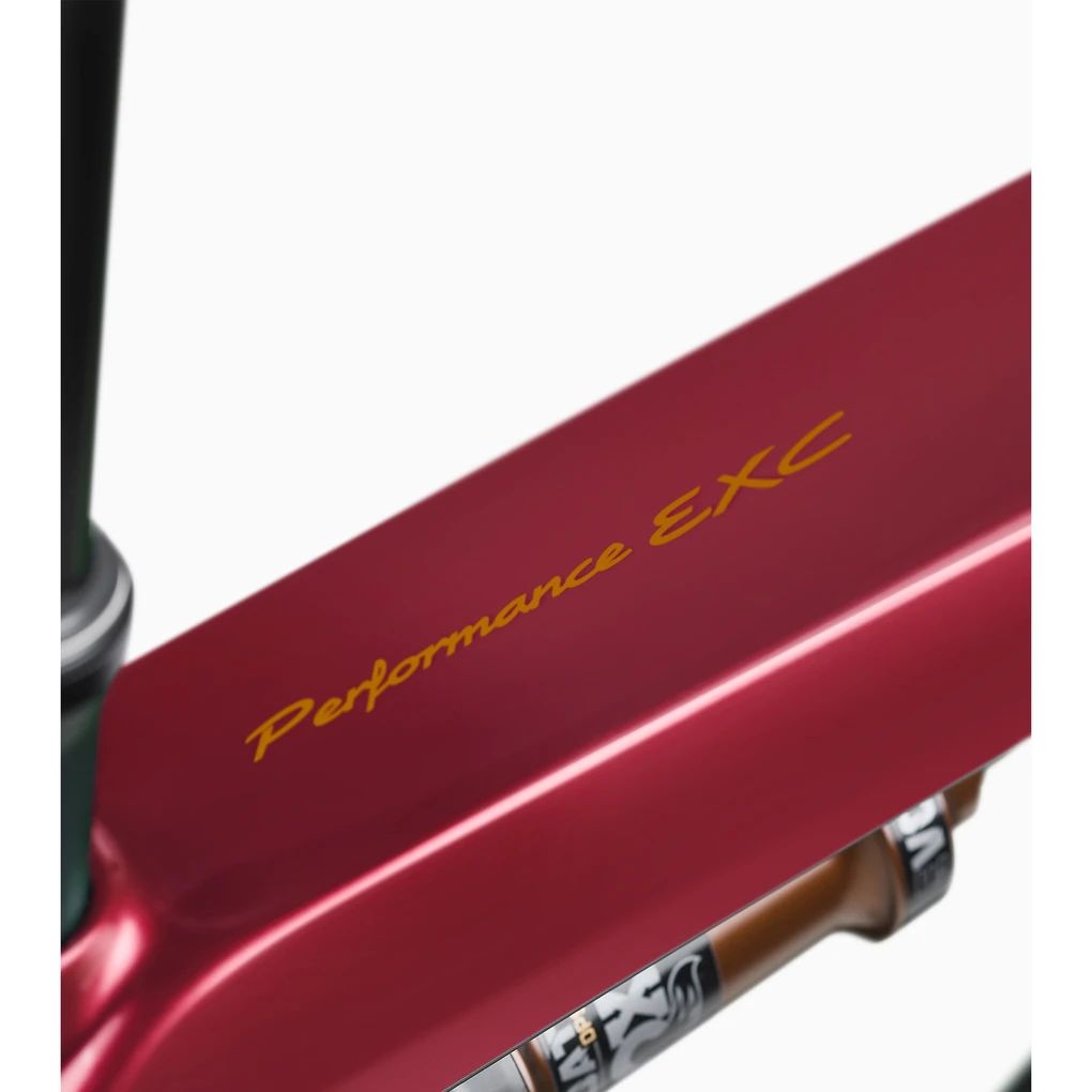 Porsche eBike Cross Performance EXC 