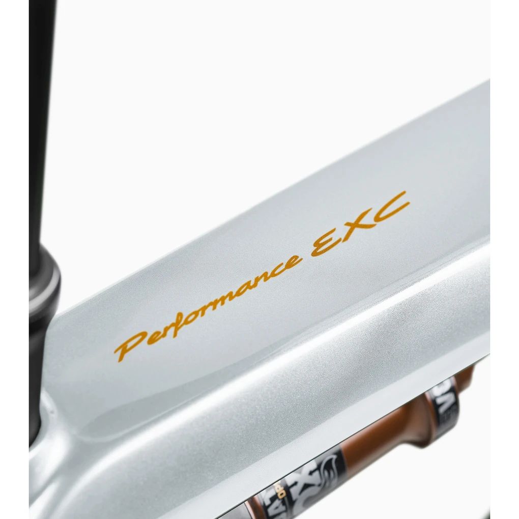 Porsche eBike Cross Performance EXC