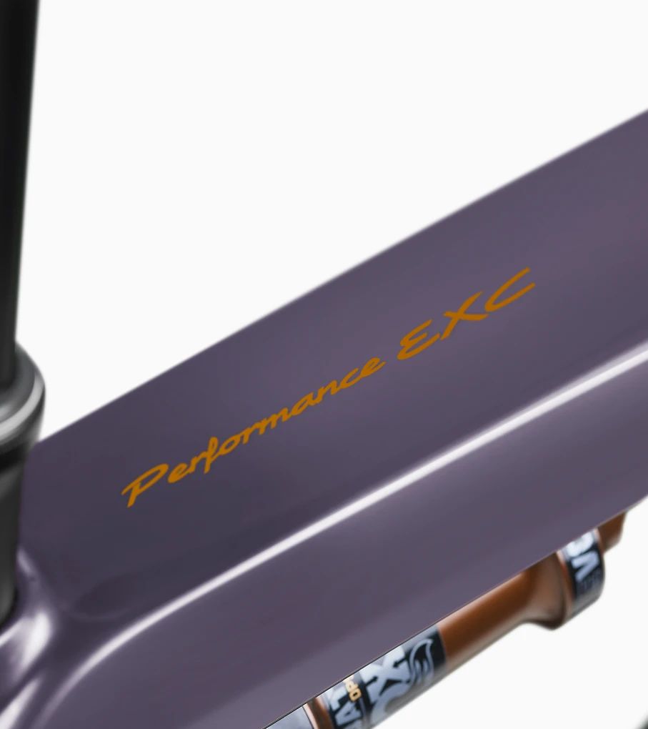 Porsche eBike Cross Performance EXC