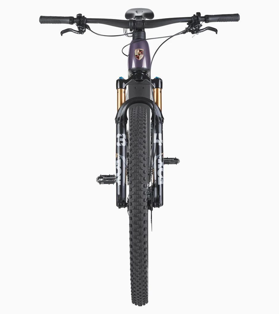 Porsche eBike Cross Performance EXC