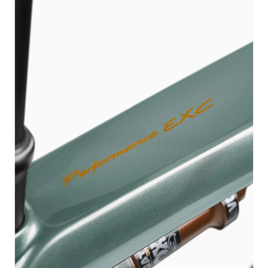 Porsche eBike Cross Performance EXC