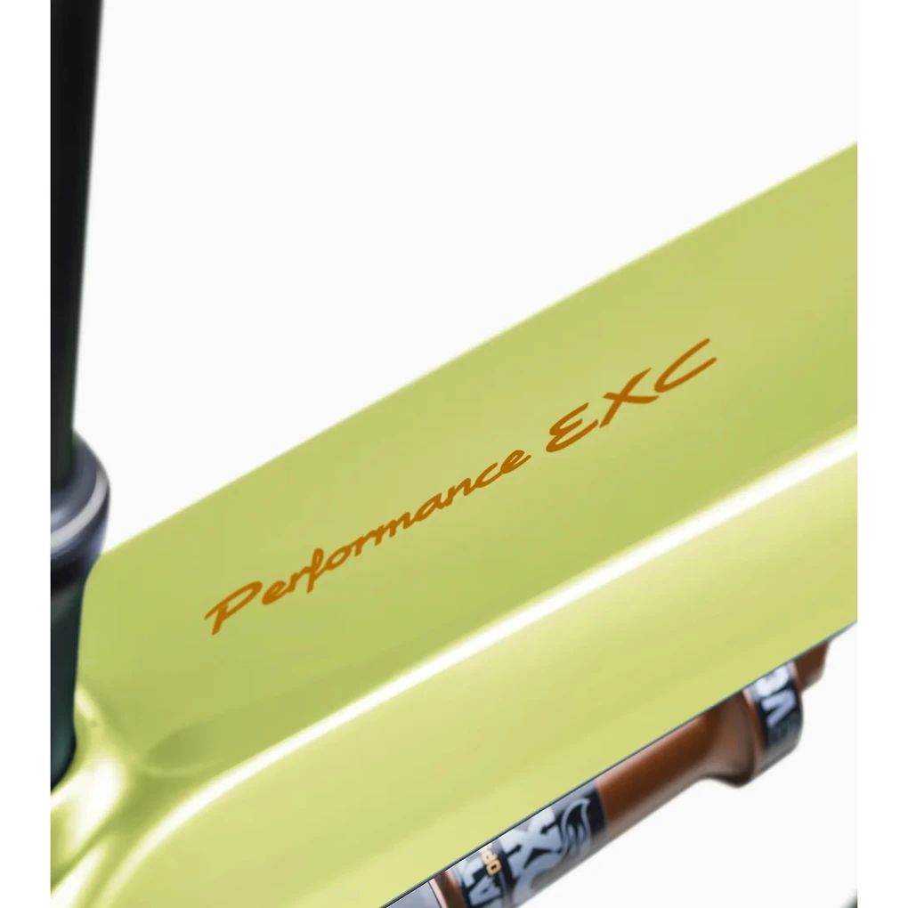 Porsche eBike Cross Performance EXC 