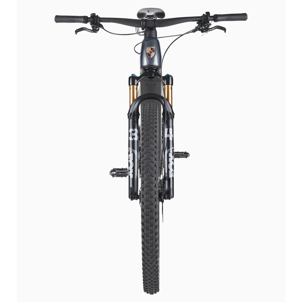 Porsche eBike Cross Performance EXC