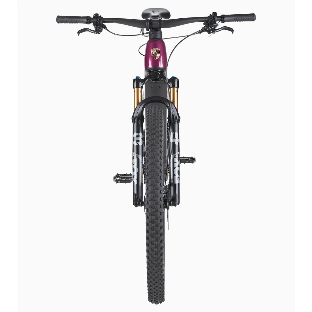 Porsche eBike Cross Performance EXC 