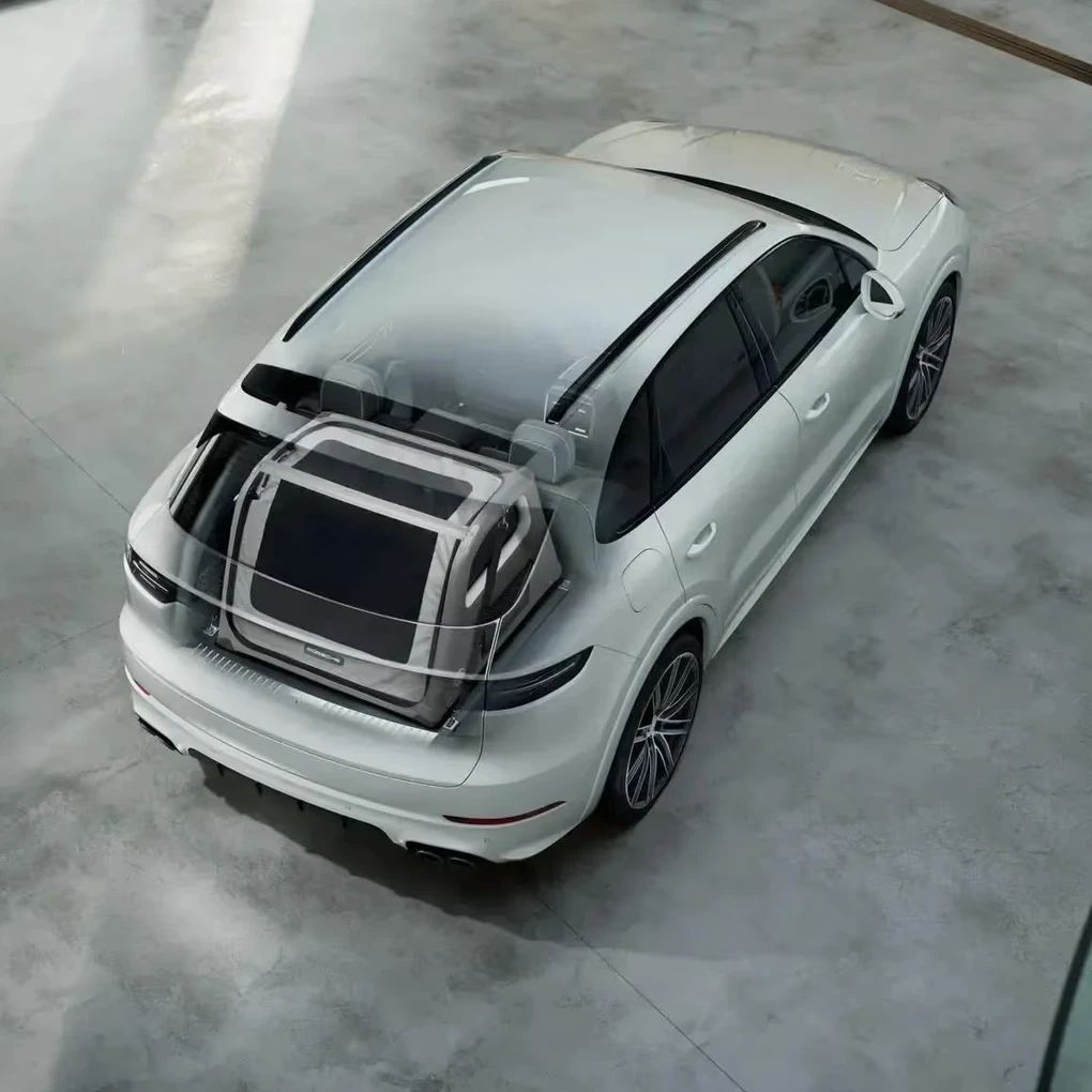 Kofferraumbox für Hunde